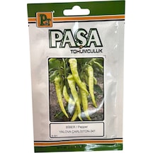 Paşa Tohumculuk Biber Tohumu Yalova Çarliston Kızartmalık 10gr Paket 1 Paket