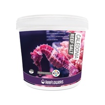 Reeflowers Caledonia Reef Salt 6.5 KG