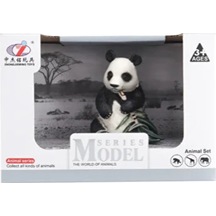 Kutulu Model Bambu Yiyen Panda