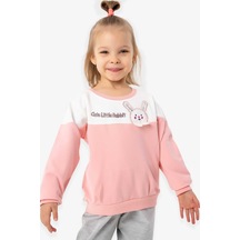 Breeze Kız Çocuk Sweatshirt Tavşan Nakışlı 1-4 Yaş, Somon (541263491)