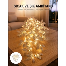 Çok Renkli