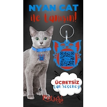 Petjoo 2.Nyan Cat Kırmızı-Mavi Qr'lı Kedi Künyesi