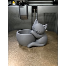 Bezos 3d Baskı Sarılan Kedi Saksı - Sevimli Dekoratif Saksı - Gri Dmc