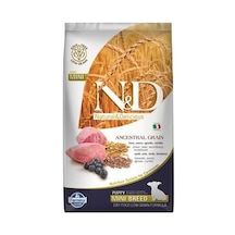 Ancestral Grain Mini Puppy Kuzulu Yaban Mersinli Küçük Irk Düşük Tahıllı Yavru Köpek Maması 2,5 Kg