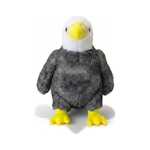 Pl50253 45 Cm Kartal