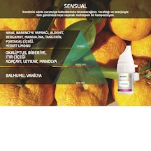 200568 Rulopak 469 Sensual Koku Kartuşu