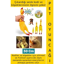 Evcil Hayvan İlgi Çekici Enerji Atma Fiziksel Aktivite Ses Çıkaran Tavuk Kedi Köpek Oyuncağı 30 Cm