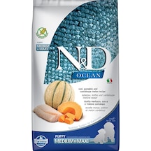 N&D Ocean Morina Balıklı Balkabağı ve Kavunlu Büyük ve Orta Irk Yavru Köpek Maması 2500 G