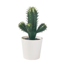 Tr Yapay Bitki, Yeşil, 6 Cm, Kaktüs, İç/dış Mekan Diğer
