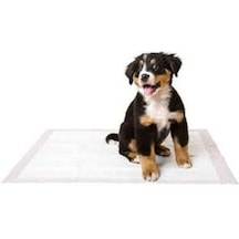 Mydog Eko Çiş Pedi 60 x 90 CM 30'lu