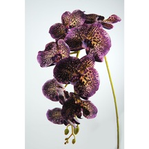 Yapay Çiçek Gerçek Dokulu Lux Mor Orkide Dalı
