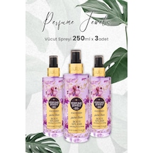 Pj Body Splash Pure 250 Ml X 3 Adet