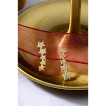 925 Ayar Gümüş Yıldız Desenli Sallantılı Gold Küpe Altın