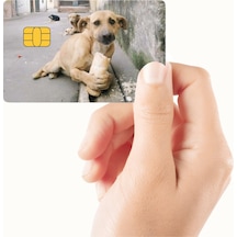 Ekmek Yiyen Köpek Tasarımlı Kredi Kartı Ve Akbil Kaplama Sticker Standart