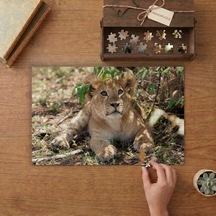 Dinlenen Aslan Tasarımı 240 Parça Ahşap Puzzle Ahşap Kutuda Mpy40099