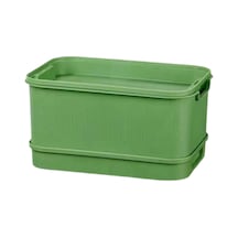 Homyl Tohum Filiz Tepesi Ev Mutfak Maş Fasulyesi Için Büyük