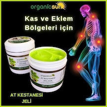 At Kestanesi Balsamı Jeli Kas Ve Eklem Besleyici Masaj Kremi 500 Ml
