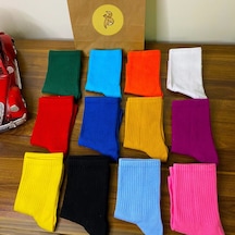 12’li Düz Renkler Çorap Kutusu