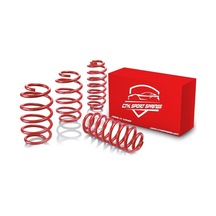 Renault Clio B 1998 - 2008 3.5 Ve 5Cm Spor Helezon Yay Ctk Spor S 3.5 Cm Yay