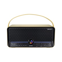 Mooer F40ilı/ıgl Future Şarjlı 40w Stereo Akıllı Gitar Amfisi Imperial Gold
