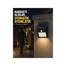 Çok Renkli
