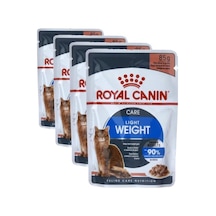 Somonlu Yetişkin Kedi Sı 1 Kg 100 G