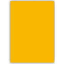 Bigpoint Fon Kartonu 50x70cm 120 Gram Altın Sarısı 100'lü Paket