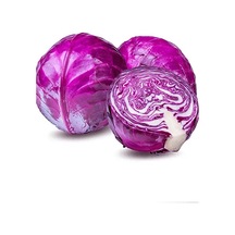 +20 Adet Kırmızı Lahana Tohumu