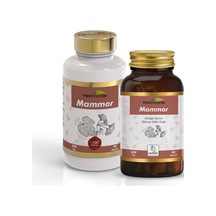 Hekimzade Mammor Ginkgo İçeren Takviye Edici Gıda 500mg 90 Kapsül