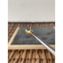 Yüksek Kalite G23 Titanium Kedi Altın Titanyum 6 X 1.2 MM Labret Piercing Altın