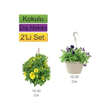2'li Set Sarı + Mor Renkli Petunya Çiçeği