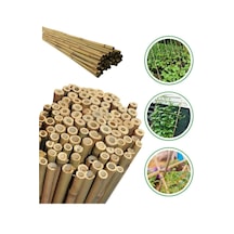 20 Adet Bambu Bitki Fidan Destek Çubuğu 170 - 175 Cm