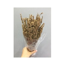 Lavanta Demeti Şoklanmış Kokulu 40-50 Cm
