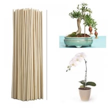 Saksı Bitkileri Destek Çubuğu 40 Cm 50ad
