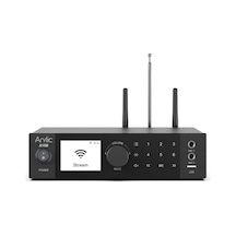 Arylic A100 Stream Amfi