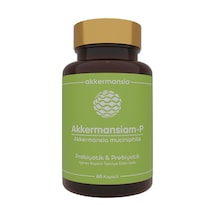 Akkermansiam-P 60 Kapsül