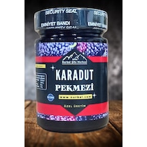 Nurbal Şifa Merkezi Karadut Pekmezi 450 G