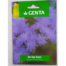 Genta Mavi Vapur Dumanı Çiçeği