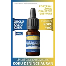 AURAN Sabaha Başlangıç - Enerjik Sinerji Karışım Esansiyel Uçucu