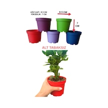 10 Adet KÜÇÜK BOY Plastik 5 Renkli Çiçek Üretim Saksısı (8.5 CM.LİK) Alt Tabaksız