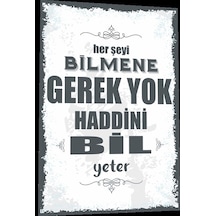 duvar yazıları her şeyi bilmene gerek yok haddini bil yeter retro