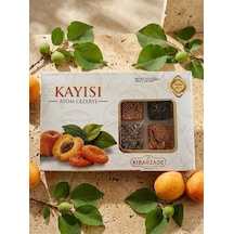 Kayısı Atom Cezerye 4'lü Çanta 125 Gr X 4