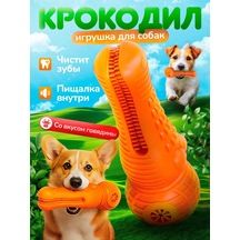 Köpekler İçin Diş Temizleme Oyuncağı 433594088