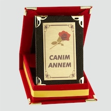 Canım Semeglbl - 14 Annem Plaketi-kırmızı Çok Renkli