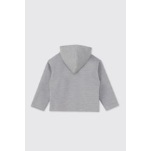 Panço Erkek Bebek Fermuarlı Gri Sweatshirt 2521BB08004