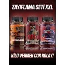 Grimlabs Xxl  Seti - Shredder & Undead & Spectre Cardari