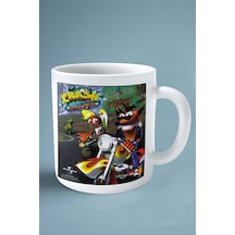 Crash Bandicoot Oyun Baskılı Kupa Bardak Çift Taraflı Baskı Kişiye Özel Model 2 Çok Renkli