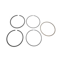 Briggs & Stratton Segman Takımı Std-010 715017
