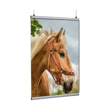 Poster Tutucu Clamp 120cm 5li Paket