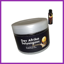 Bezos Giant Afrikasalyangozu Kremi Yaşlanma Karşıtı Dev Salyangoz100ml + 60 Ml L.kamasutra Erotikmasaj Yağı Bty